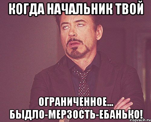 когда начальник твой ограниченное... быдло-мерзость-ебанько!, Мем твое выражение лица