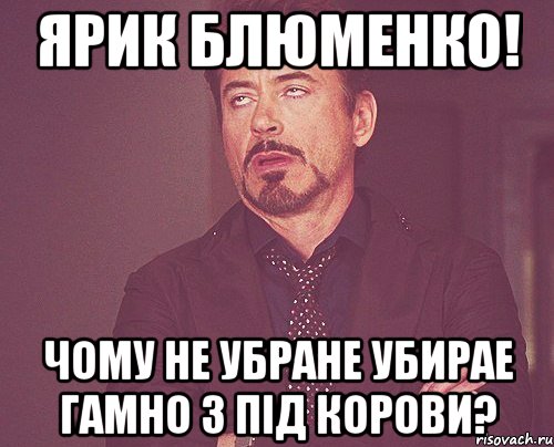 Ярик Блюменко! Чому не убране убирае гамно з під корови?, Мем твое выражение лица