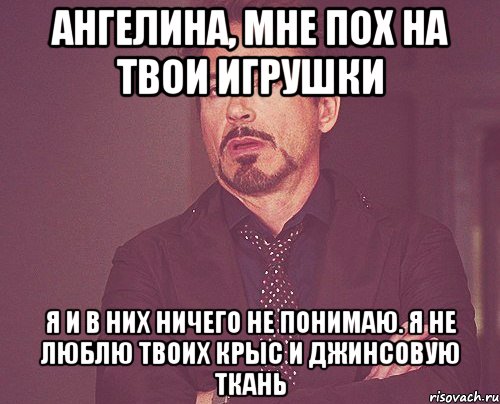 Ангелина, мне пох на твои игрушки Я и в них ничего не понимаю. Я не люблю твоих крыс и джинсовую ткань, Мем твое выражение лица