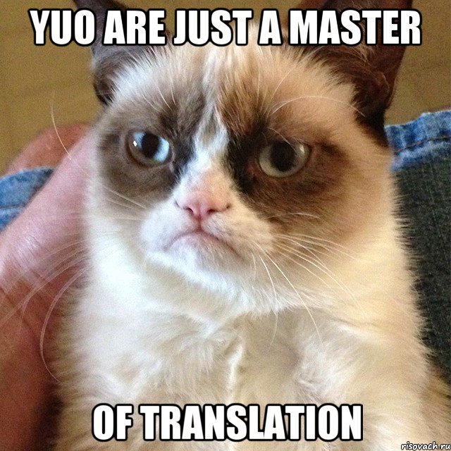 yuo are just a master of translation, Мем Угрюмый кот