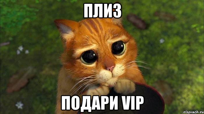 плиз подари vip, Мем кот из шрека