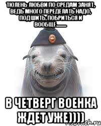 Тюлень любви по средам занят, ведь много переделать надо, подшить, побриться и вообще.......... В четверг ВОЕНКА ждет уже)))), Мем Тюлень Антон