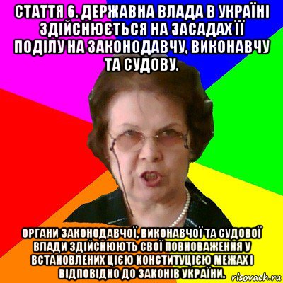 Стаття 6. Державна влада в Україні здійснюється на засадах її поділу на законодавчу, виконавчу та судову. Органи законодавчої, виконавчої та судової влади здійснюють свої повноваження у встановлених цією Конституцією межах і відповідно до законів України., Мем Типичная училка