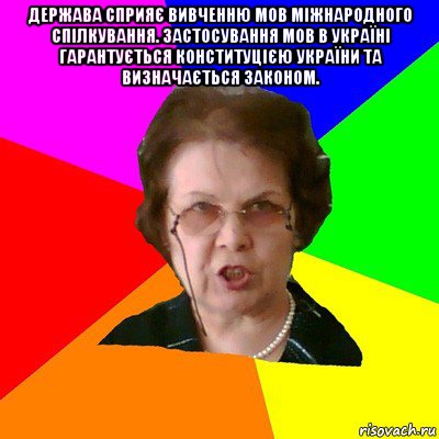 Держава сприяє вивченню мов міжнародного спілкування. Застосування мов в Україні гарантується Конституцією України та визначається законом. , Мем Типичная училка