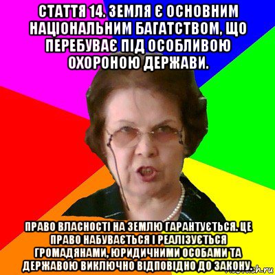 Стаття 14. Земля є основним національним багатством, що перебуває під особливою охороною держави. Право власності на землю гарантується. Це право набувається і реалізується громадянами, юридичними особами та державою виключно відповідно до закону., Мем Типичная училка