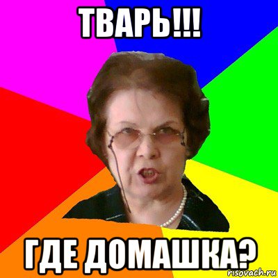 Тварь!!! где домашка?, Мем Типичная училка