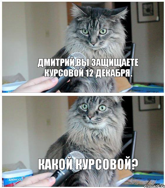 Дмитрий,вы защищаете курсовой 12 декабря. Какой курсовой?, Комикс  кот с микрофоном