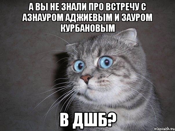 а вы не знали про встречу с азнауром аджиевым и зауром курбановым в дшб?, Мем  удивлённый кот