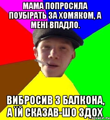 мама попросила поубірать за хомяком, а мені впадло. вибросив з балкона, а їй сказав-шо здох, Мем умный гопник