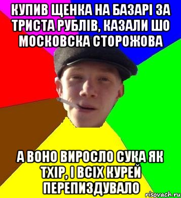 купив щенка на базарі за триста рублів, казали шо московска сторожова а воно виросло сука як тхір, і всіх курей перепиздувало, Мем умный гопник