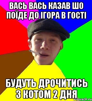 вась вась казав шо поїде до ігора в гості будуть дрочитись з котом 2 дня, Мем умный гопник