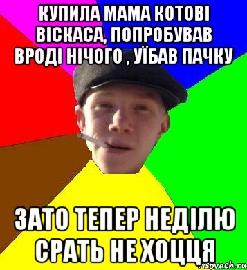 купила мама котові віскаса, попробував вроді нічого , уїбав пачку зато тепер неділю срать не хоцця, Мем умный гопник