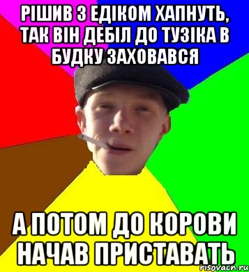 рішив з едіком хапнуть, так він дебіл до тузіка в будку заховався а потом до корови начав приставать, Мем умный гопник