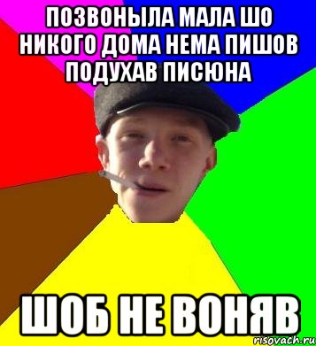 Позвоныла мала шо никого дома нема пишов подухав писюна шоб не воняв, Мем умный гопник