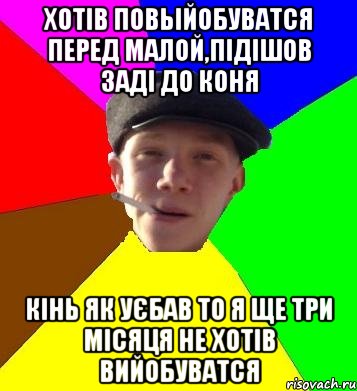 Хотів повьійобуватся перед малой,підішов заді до коня кінь як уєбав то я ще три місяця не хотів вийобуватся, Мем умный гопник