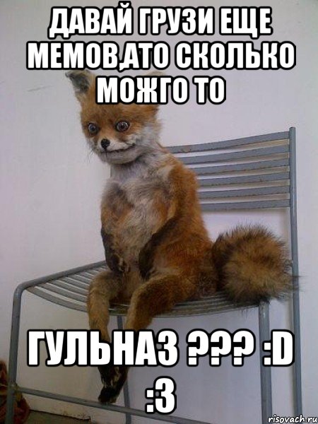 давай грузи еще мемов,ато сколько можго то гульназ ??? :d :3, Мем Упоротая лиса