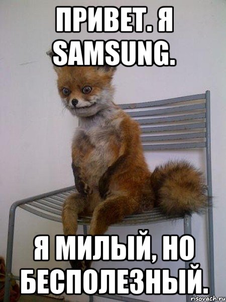 Привет. Я Samsung. Я милый, но бесполезный., Мем Упоротая лиса