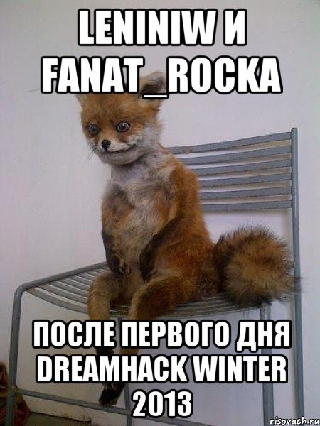 LENINIW и FANAT_ROCKA после первого дня DreamHack Winter 2013, Мем Упоротая лиса