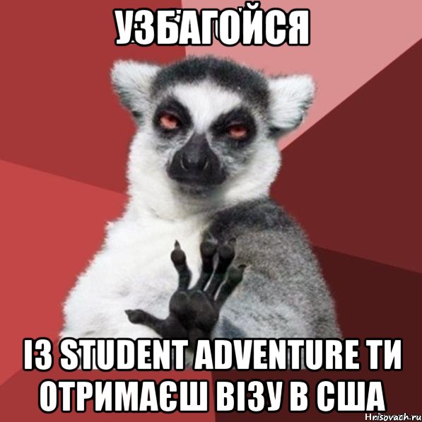 узбагойся із Student Adventure ти отримаєш візу в США, Мем Узбагойзя