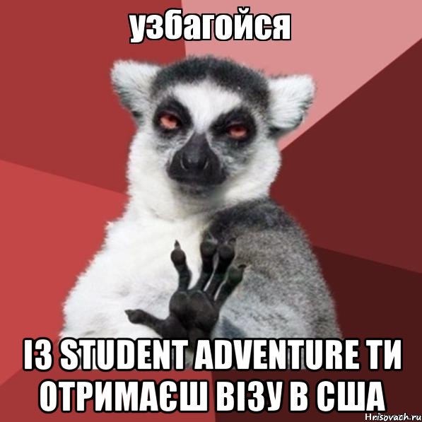  із Student Adventure ти отримаєш візу в США, Мем Узбагойзя