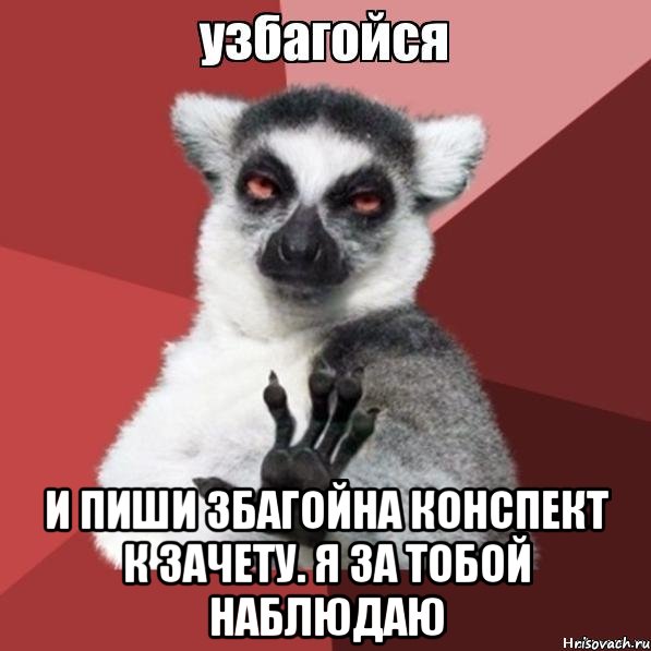  и пиши збагойна конспект к зачету. я за тобой наблюдаю, Мем Узбагойзя