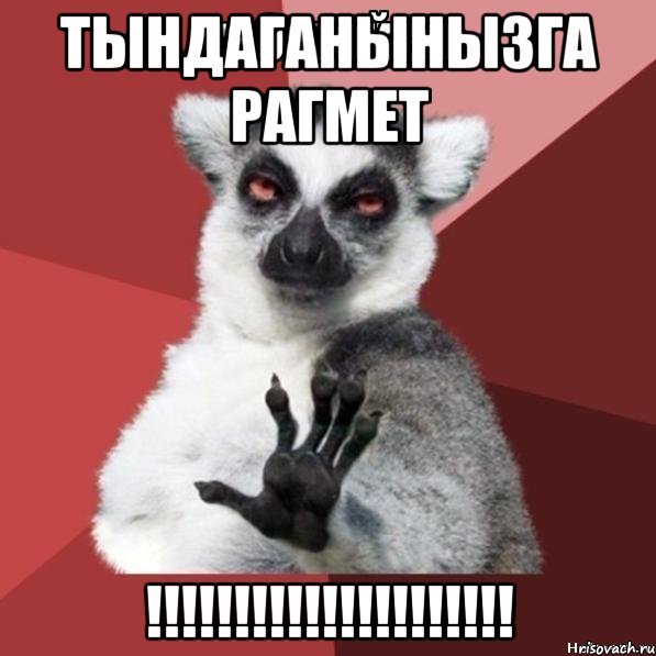 ТЫНДАГАНЫНЫЗГА РАГМЕТ !!!!!!!!!!!!!!!!!!!!!, Мем Узбагойзя