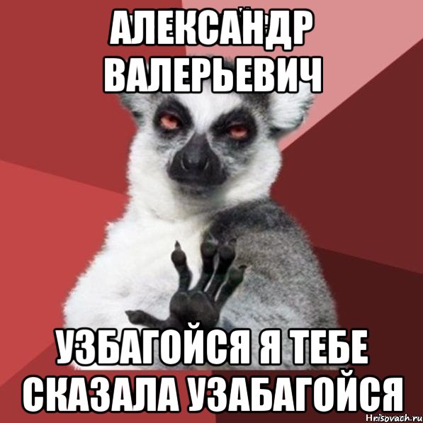 Александр Валерьевич узбагойся я тебе сказала узабагойся, Мем Узбагойзя