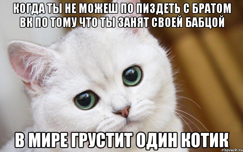 Когда ты не можеш по пиздеть с братом ВК по тому что ты занят своей бабцой В мире грустит один котик, Мем  В мире грустит один котик