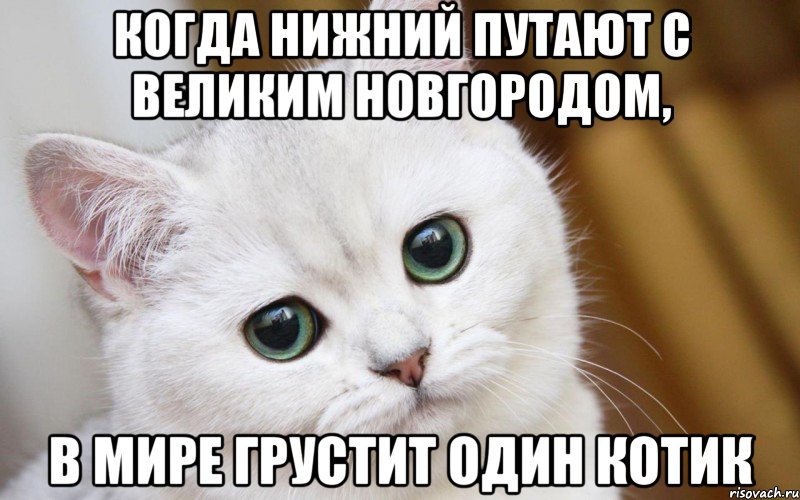 когда нижний путают с великим новгородом, в мире грустит один котик, Мем  В мире грустит один котик