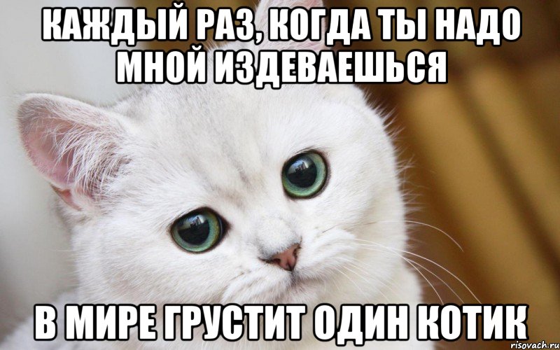 Каждый раз, когда ты надо мной издеваешься в мире грустит один котик, Мем  В мире грустит один котик