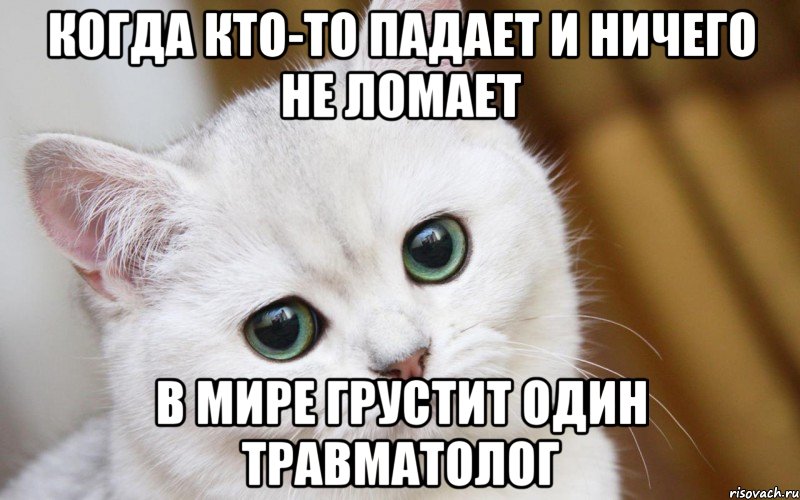 когда кто-то падает и ничего не ломает в мире грустит один травматолог, Мем  В мире грустит один котик