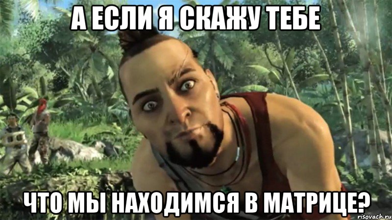 А если я скажу тебе что мы находимся в матрице?, Мем ваас