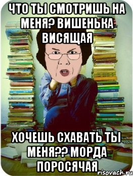 что ты смотришь на меня? вишенька висящая хочешь схавать ты меня?? морда поросячая, Мем Вчитель