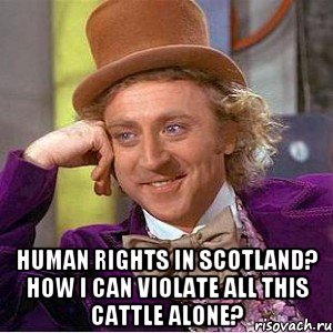  Human rights in Scotland? How I can violate all this cattle alone?, Мем Ну давай расскажи (Вилли Вонка)