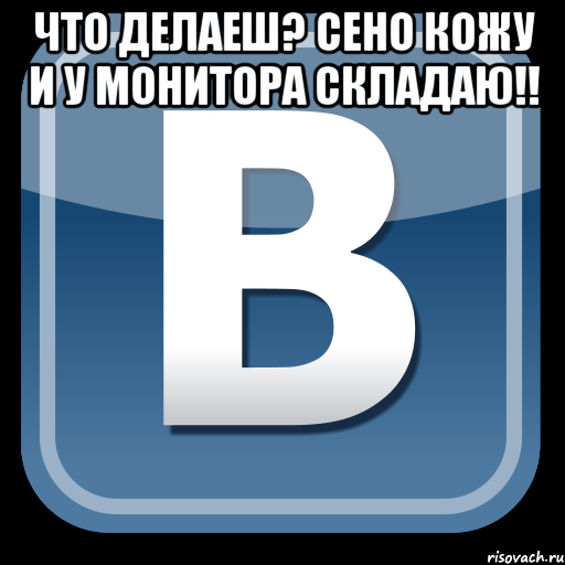 что делаеш? сено кожу и у монитора складаю!! 