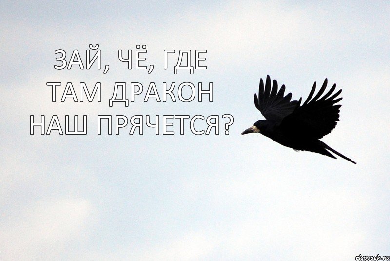 ЗАЙ, ЧЁ, ГДЕ ТАМ ДРАКОН НАШ ПРЯЧЕТСЯ?, Комикс Ворона