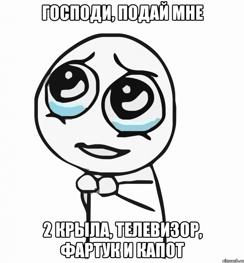 Господи, подай мне 2 крыла, телевизор, фартук и капот, Мем  ну пожалуйста (please)