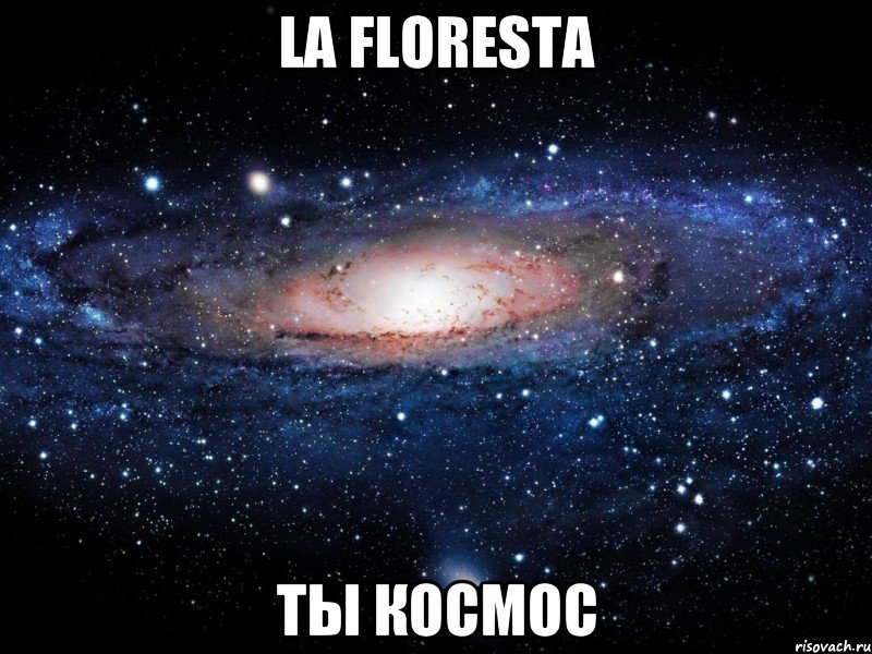 la floresta ты космос, Мем Вселенная