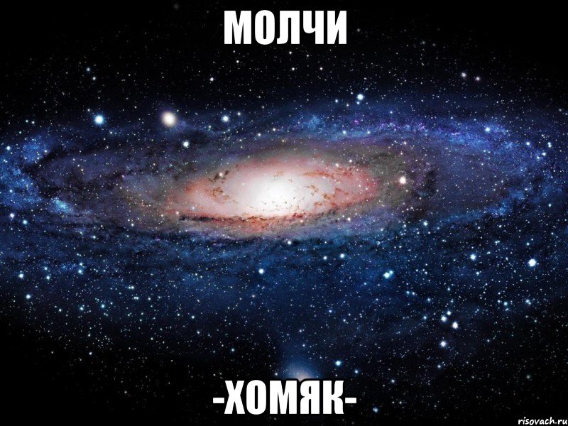 молчи -хомяк-, Мем Вселенная