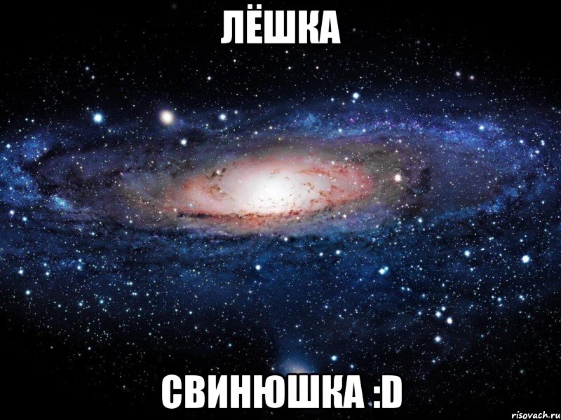 лёшка свинюшка :d, Мем Вселенная