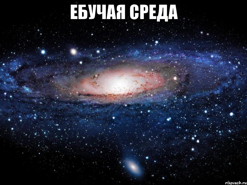 Ебучая среда , Мем Вселенная