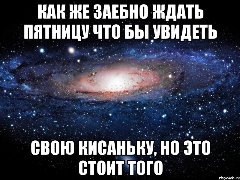 как же заебно ждать пятницу что бы увидеть свою кисаньку, но это стоит того, Мем Вселенная