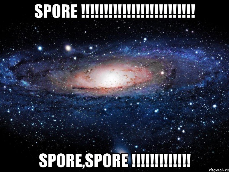 spore !!!!!!!!!!!!!!!!!!!!!!!!! spore,spore !!!!!!!!!!!!!, Мем Вселенная