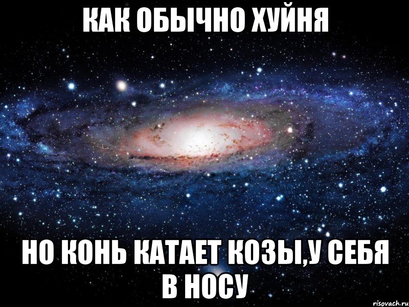 как обычно хуйня но конь катает козы,у себя в носу, Мем Вселенная