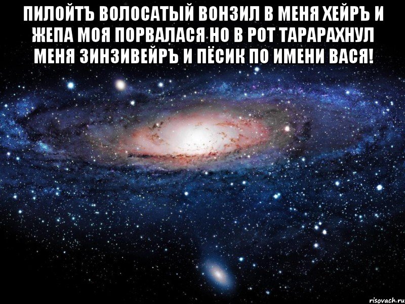 ПилойтЪ волосатый вонзил в меня хейрЪ И жепа моя порвалася Но в рот тарарахнул меня зинзивейрЪ И пёсик по имени Вася! , Мем Вселенная