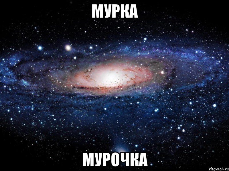 МУРКА МУРОЧКА, Мем Вселенная