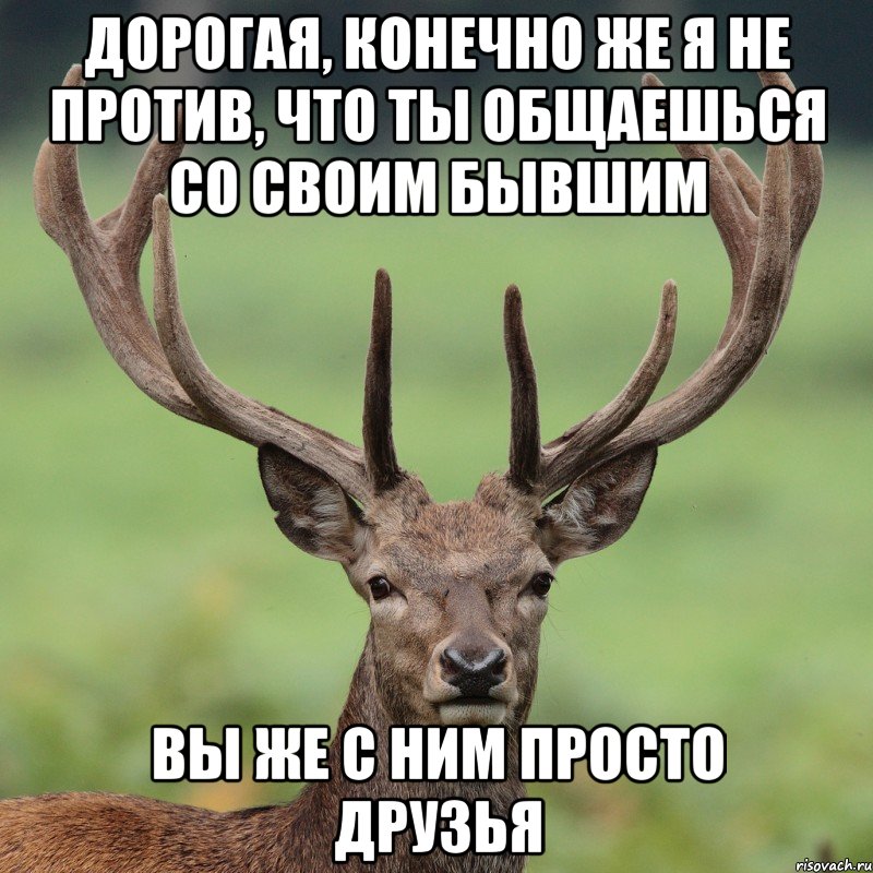 Дорогая, конечно же я не против, что ты общаешься со своим бывшим вы же с ним просто друзья