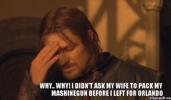 Why.. Why! I didn't ask my wife to pack my mashinegun before I left for Orlando, Мем Закрывает лицо