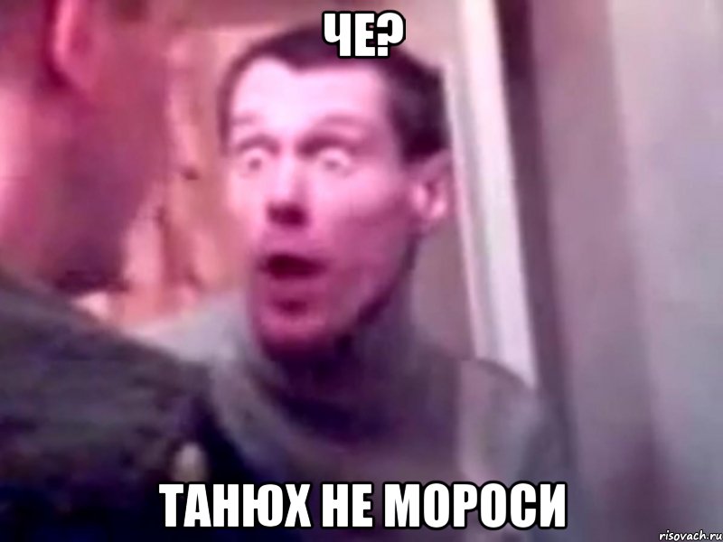 че? танюх не мороси, Мем Запили