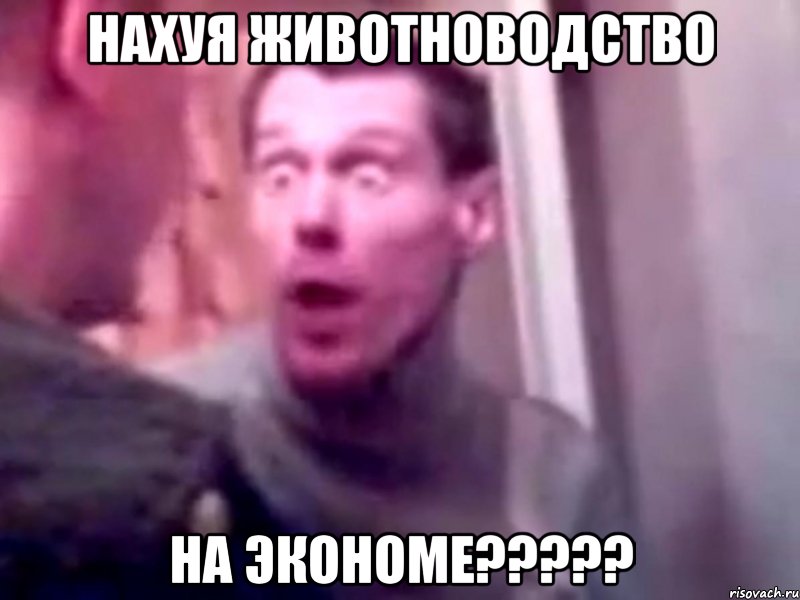 нахуя животноводство На экономе?????, Мем Запили